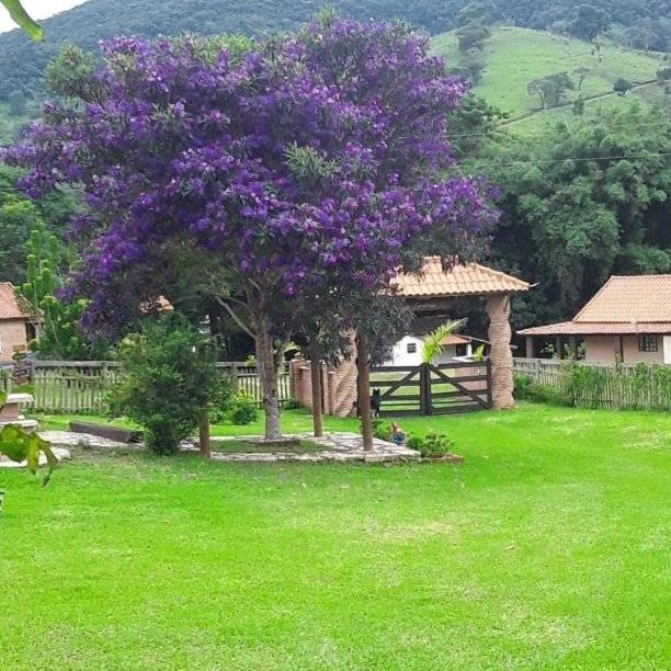 Recanto Das Flores São Tomé das Letras Exteriér fotografie