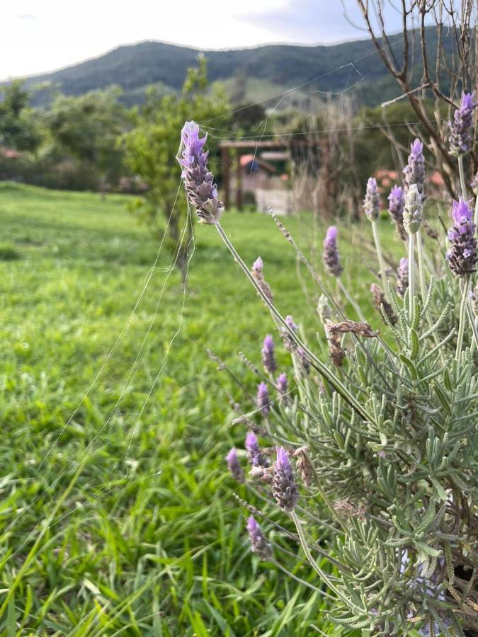 Recanto Das Flores São Tomé das Letras Exteriér fotografie