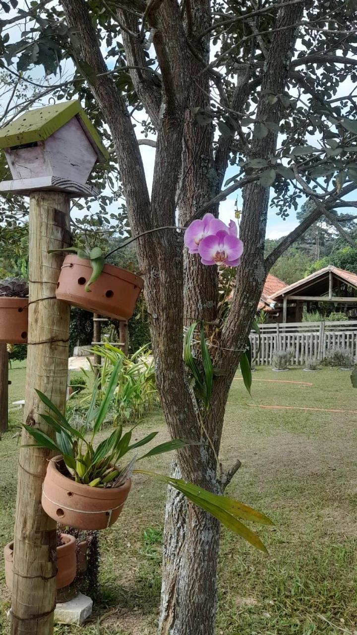Recanto Das Flores São Tomé das Letras Exteriér fotografie